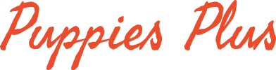 logo-img
